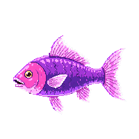 surviv fish raw caught fish 153 v11 2026 03 30T00 37 17