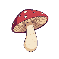 surviv mushroom edible forest food 065 v5 2026 03 30T00 37 17
