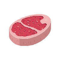 surviv raw meat uncooked food 121 v9 2026 03 30T00 37 17