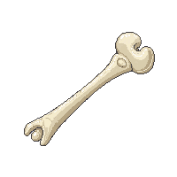 surviv bone fragment skeleton piece 013 2026 03 30T00 37 17