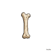 surviv bone fragment skeleton piece 133 v9 2026 03 30T00 37 17
