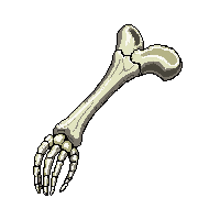 surviv bone fragment skeleton piece 148 v10 2026 03 30T00 37 17