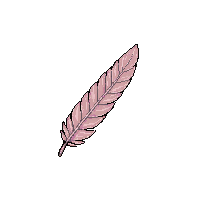 surviv feather quill bird feather 012 2026 03 30T00 37 17
