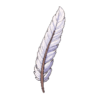 surviv feather quill bird feather 042 v3 2026 03 30T00 37 17