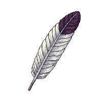 surviv feather quill bird feather 087 v6 2026 03 30T00 37 17