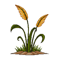 surviv fiber plant rope material 025 v2 2026 03 30T00 37 17