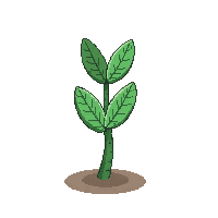 surviv fiber plant rope material 040 v3 2026 03 30T00 37 17