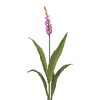 surviv fiber plant rope material 070 v5 2026 03 30T00 37 17