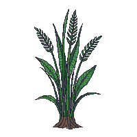 surviv fiber plant rope material 085 v6 2026 03 30T00 37 17