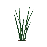 surviv fiber plant rope material 100 v7 2026 03 30T00 37 17