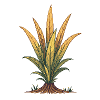 surviv fiber plant rope material 145 v10 2026 03 30T00 37 17