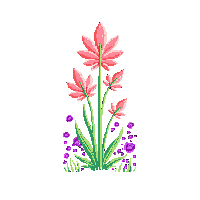 surviv fiber plant rope material 160 v11 2026 03 30T00 37 17