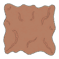 surviv leather hide animal skin 146 v10 2026 03 30T00 37 17