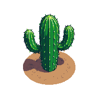 topdown cactus desert tall spiky