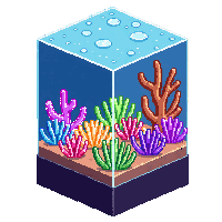 topdown coral reef colorful underwater