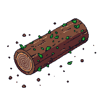 topdown log fallen tree brown