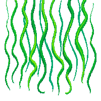 topdown seaweed ocean floor green swaying