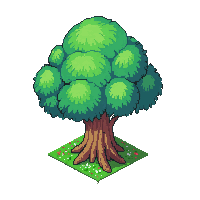 topdown stump tree cut short