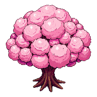 topdown tree cherry blossom pink bloom