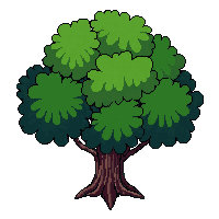 topdown tree oak large green canopy