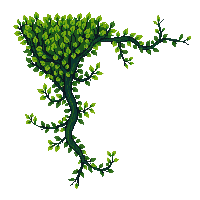 topdown vine wall climbing green ivy