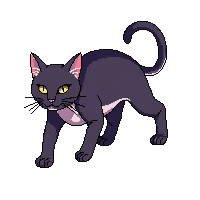 elemental familiar shadow cat walking following shadow