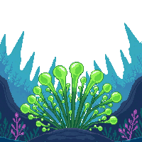 underwater kingdom sea lettuce bright green ruffled thin