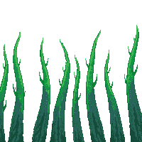 underwater kingdom seaweed wall dense tall natural barrier