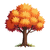 autumn tree orange leaves fall season deciduous