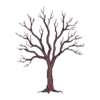 bare tree winter no leaves branches only silhouette