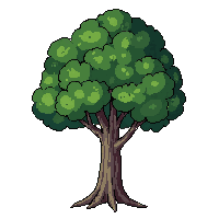 beech tree smooth gray bark green dense canopy