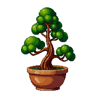 bonsai pine small pot sculpted miniature green