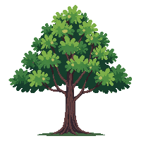 cedar tree large green spreading flat branches