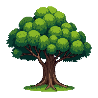 chestnut tree large green broad canopy spreading