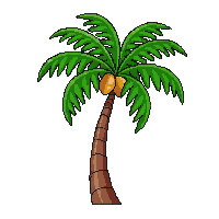 coconut palm tall curved trunk green fronds coconuts