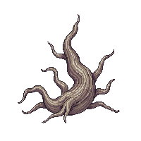 driftwood twisted gray bleached sun faded