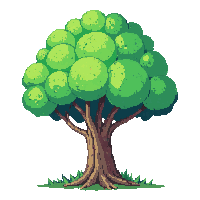 elm tree large green dome shaped canopy tall