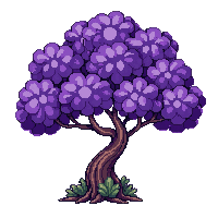 flowering tree purple jacaranda canopy blossoms