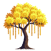 flowering tree yellow golden shower hanging blooms