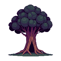 hollow tree large opening cavity dark inside