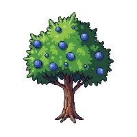 juniper tree small green bushy blue berries