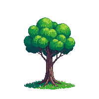 lone tree single standing field green full canopy