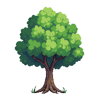 medium young tree growing green healthy straight