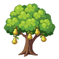 pear tree green canopy green yellow fruit