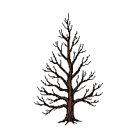 pine tree dead brown dry needles fallen bare