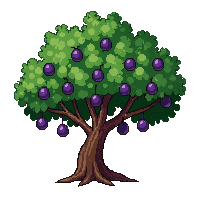 plum tree green canopy purple fruit dark