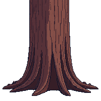 redwood tree massive tall brown bark thick trunk