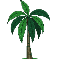 rubber tree large glossy dark green leaves tall