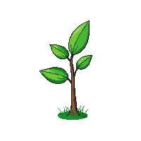 small sapling young thin trunk few green leaves