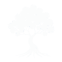 spirit tree white ghostly transparent ethereal